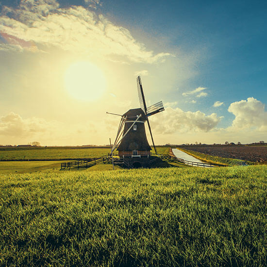 Embracing the Best of Both Worlds